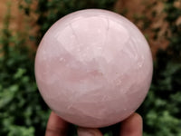 Polished Rose Quartz Spheres x 4 From Ambatondrazaka, Madagascar