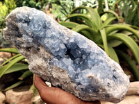 Natural Celestite Geode Specimens x 1 From Sakoany, Madagascar