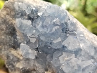 Natural Celestite Geode Specimens x 1 From Sakoany, Madagascar