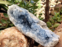 Natural Celestite Geode Specimens x 1 From Sakoany, Madagascar