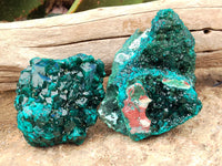 Natural Pair of Dioptase Cabinet Specimens x 2 from Likasi, Congo