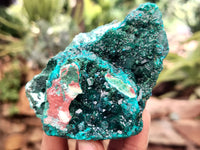 Natural Pair of Dioptase Cabinet Specimens x 2 from Likasi, Congo