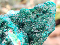 Natural Pair of Dioptase Cabinet Specimens x 2 from Likasi, Congo