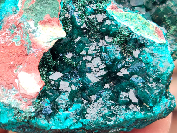 Natural Pair of Dioptase Cabinet Specimens x 2 from Likasi, Congo