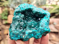 Natural Pair of Dioptase Cabinet Specimens x 2 from Likasi, Congo