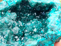 Natural Pair of Dioptase Cabinet Specimens x 2 from Likasi, Congo