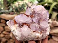 Natural Amethyst Spirit Quartz Clusters x 6 From Boekenhouthoek, South Africa