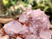 Natural Amethyst Spirit Quartz Clusters x 6 From Boekenhouthoek, South Africa