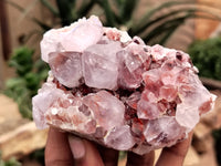 Natural Amethyst Spirit Quartz Clusters x 6 From Boekenhouthoek, South Africa