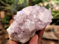 Natural Amethyst Spirit Quartz Clusters x 6 From Boekenhouthoek, South Africa