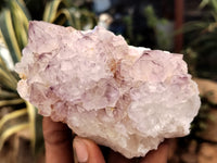 Natural Amethyst Spirit Quartz Clusters x 6 From Boekenhouthoek, South Africa