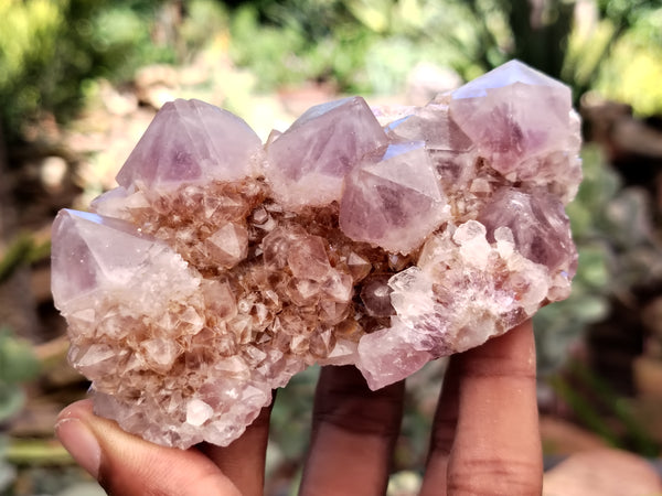 Natural Amethyst Spirit Quartz Clusters x 6 From Boekenhouthoek, South Africa