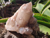 Natural Red Hematoid Quartz Cluster x 1 From Karoi, Zimbabwe