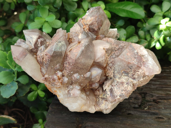 Natural Red Hematoid Quartz Cluster x 1 From Karoi, Zimbabwe