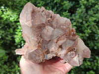 Natural Red Hematoid Quartz Cluster x 1 From Karoi, Zimbabwe