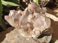 Natural Red Hematoid Quartz Cluster x 1 From Karoi, Zimbabwe