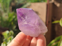 Natural Jacaranda Amethyst Quartz Crystals x 24 from Mumbwa, Zambia