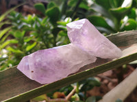 Natural Jacaranda Amethyst Quartz Crystals x 24 from Mumbwa, Zambia