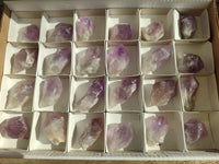 Natural Jacaranda Amethyst Quartz Crystals x 24 from Mumbwa, Zambia