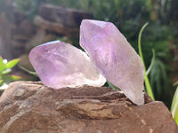 Natural Jacaranda Amethyst Quartz Crystals x 24 from Mumbwa, Zambia