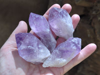 Natural Jacaranda Amethyst Quartz Crystals x 24 from Mumbwa, Zambia