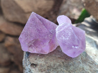 Natural Jacaranda Amethyst Quartz Crystals x 24 from Mumbwa, Zambia