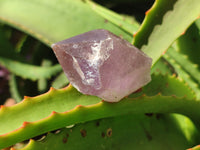 Natural Jacaranda Amethyst Quartz Crystals x 24 from Mumbwa, Zambia