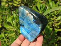 Polished Labradorite Standing Free Forms x 3 From Tulear, Madagascar