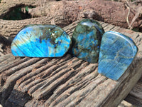 Polished Labradorite Standing Free Forms x 3 From Tulear, Madagascar