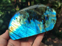 Polished Labradorite Standing Free Forms x 3 From Tulear, Madagascar