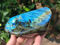 Polished Labradorite Standing Free Forms x 3 From Tulear, Madagascar