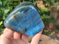 Polished Labradorite Standing Free Forms x 3 From Tulear, Madagascar