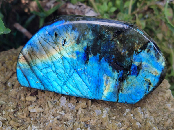 Polished Labradorite Standing Free Forms x 3 From Tulear, Madagascar