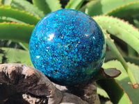 Polished Chrysocolla Conglomerate Spheres x 2 From Congo