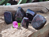 Polished Ruby Corundum In Chrome Verdite Standing Free Forms x 5 From Zimbabwe