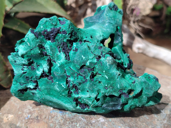 Natural Silky Malachite Specimens x 2 From Kasompe, Congo