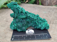 Natural Silky Malachite Specimens x 2 From Kasompe, Congo