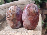 Polished Podocarpus Petrified Wood Standing Free Forms x 6 From Mahajanga, Madagascar