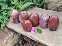 Polished Podocarpus Petrified Wood Standing Free Forms x 6 From Mahajanga, Madagascar