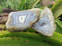 Polished Blue Lace Agate Geodes x 12 From Nsanje, Malawi