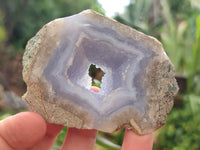 Polished Blue Lace Agate Geodes x 12 From Nsanje, Malawi