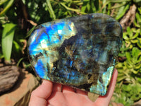 Polished Labradorite Standing Free Forms x 2 From Tulear, Madagascar