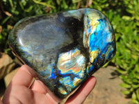 Polished Labradorite Standing Free Forms x 2 From Tulear, Madagascar