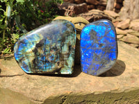 Polished Labradorite Standing Free Forms x 2 From Tulear, Madagascar