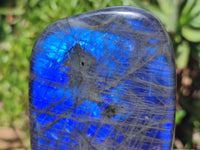 Polished Labradorite Standing Free Forms x 2 From Tulear, Madagascar