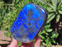 Polished Labradorite Standing Free Forms x 2 From Tulear, Madagascar