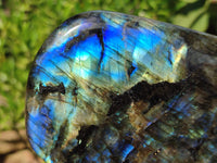 Polished Labradorite Standing Free Forms x 2 From Tulear, Madagascar