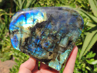 Polished Labradorite Standing Free Forms x 2 From Tulear, Madagascar