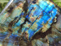 Polished Labradorite Standing Free Forms x 2 From Tulear, Madagascar