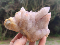 Natural Amethyst Spirit Quartz Clusters x 2 From Boekenhouthoek, South Africa